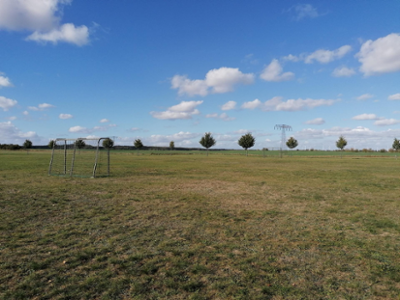 Unscharf dargestelltes Bild zur Hintergrundgestaltung